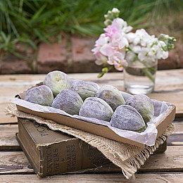 Xbox Game Pass登陆三星电视 6月30日开始